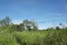 Land for sale in Bang Sare, Chonburi
