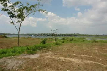 Land for sale in Pong, Chonburi