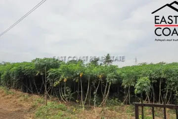 Land for sale in Na Jomtien, Chonburi