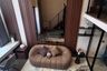 1 Bedroom Condo for rent in Maha Phruettharam, Bangkok near MRT Hua Lamphong
