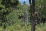 Land for sale in Bo Phut, Surat Thani