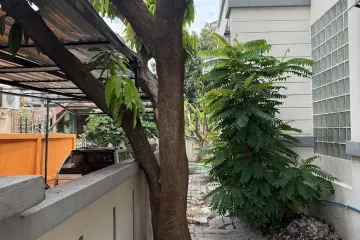 4 Bedroom Townhouse for rent in Bang Khae, Bangkok