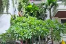 1 Bedroom Condo for sale in Nong Prue, Chonburi