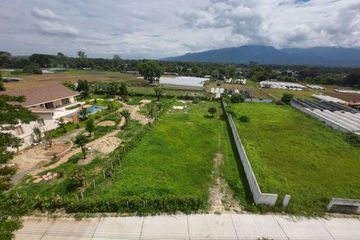 Land for sale in Mueang Kaeo, Chiang Mai