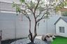 5 Bedroom House for rent in Lat Phrao, Bangkok