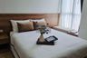 1 Bedroom Condo for rent in Phra Khanong, Bangkok near BTS On Nut