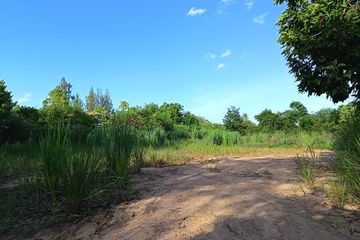 Land for sale in Huai Sai Nua, Phetchaburi