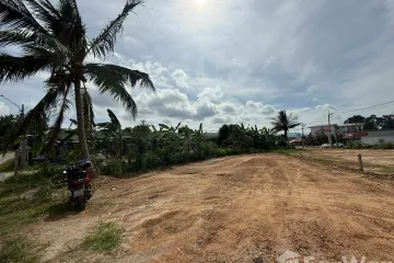 Land for sale in Bo Phut, Surat Thani
