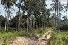 Land for sale in Bo Phut, Surat Thani