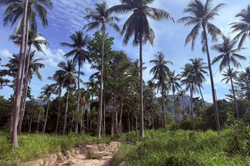 Land for sale in Bo Phut, Surat Thani