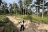 Land for sale in Bo Phut, Surat Thani