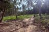 Land for sale in Bo Phut, Surat Thani