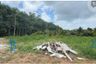 Land for sale in Rawai, Phuket