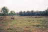 Land for sale in Salalai, Prachuap Khiri Khan