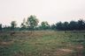 Land for sale in Salalai, Prachuap Khiri Khan