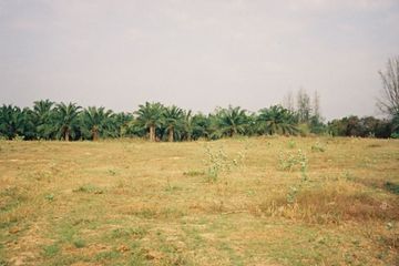 Land for sale in Salalai, Prachuap Khiri Khan