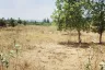 Land for sale in Salalai, Prachuap Khiri Khan