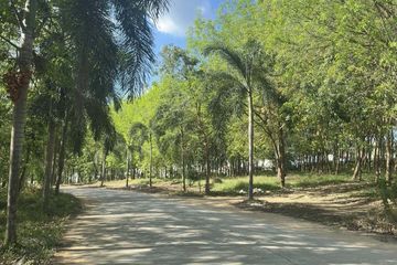 Commercial for rent in Chalong, Phuket