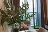 1 Bedroom Condo for rent in Taka Haus Ekamai 12, Khlong Tan Nuea, Bangkok near BTS Ekkamai