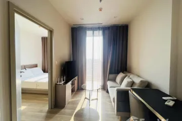 1 Bedroom Condo for rent in OKA HAUS Sukhumvit 36, Khlong Tan, Bangkok near BTS Thong Lo