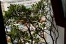 1 Bedroom Condo for sale in The Bloom Sukhumvit 71, Phra Khanong Nuea, Bangkok near BTS Phra Khanong