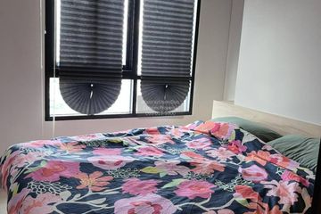 1 Bedroom Condo for rent in Nue Noble Srinakarin - Lasalle, Samrong Nuea, Samut Prakan near MRT Si La Salle