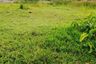 Land for sale in Choeng Thale, Phuket