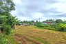 Land for sale in Inthakhin, Chiang Mai