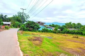 Land for sale in Inthakhin, Chiang Mai