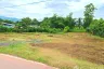 Land for sale in Inthakhin, Chiang Mai