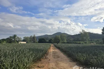 Land for sale in Nong Ta Taem, Prachuap Khiri Khan