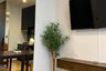 1 Bedroom Condo for rent in Noble Around Ari, Sam Sen Nai, Bangkok near BTS Ari