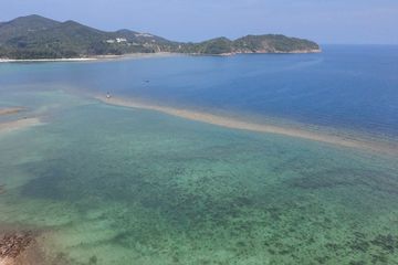 Land for sale in Ko Pha-ngan, Surat Thani