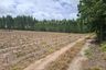 Land for sale in Pong, Chonburi