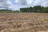 Land for sale in Pong, Chonburi