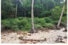 Land for sale in Ban Tai, Surat Thani
