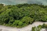 Land for sale in Ban Tai, Surat Thani