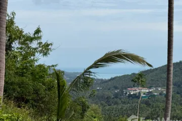 Land for sale in Bo Phut, Surat Thani