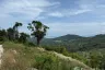 Land for sale in Bo Phut, Surat Thani