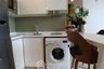 1 Bedroom Condo for sale in The Riviera Wongamat, Na Kluea, Chonburi