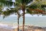2 Bedroom Condo for Sale or Rent in The Sanctuary Wong Amat, Na Kluea, Chonburi