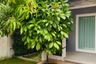 3 Bedroom House for Sale or Rent in Mantana Onnut-Wongwaen 5, Dokmai, Bangkok