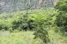 Land for sale in Cha am, Phetchaburi