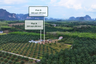 Land for sale in Nong Thale, Krabi