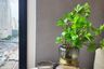 1 Bedroom Condo for rent in Ashton Asoke, Khlong Toei Nuea, Bangkok near MRT Sukhumvit