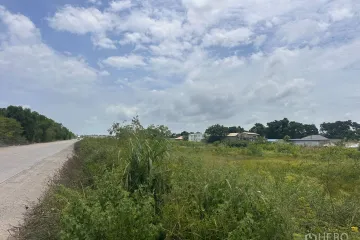 Land for rent in 