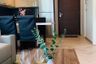 1 Bedroom Condo for rent in Quattro by Sansiri, Khlong Tan Nuea, Bangkok near BTS Thong Lo