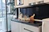 1 Bedroom Condo for rent in HUE Sukhumvit,  near BTS Punnawithi