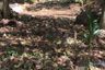 Land for sale in 