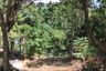 Land for sale in 